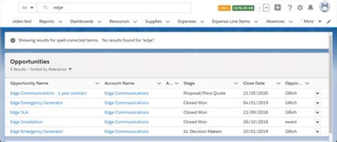 salesforce global search not returning results